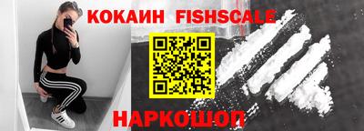 гидра Ставрополь