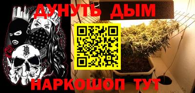 гидра Ставрополь