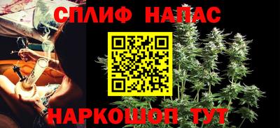 гидра Ставрополь